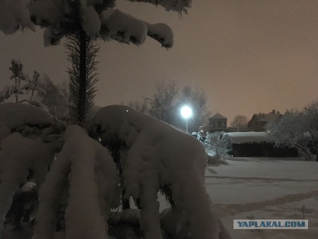"Такова снегапада..."