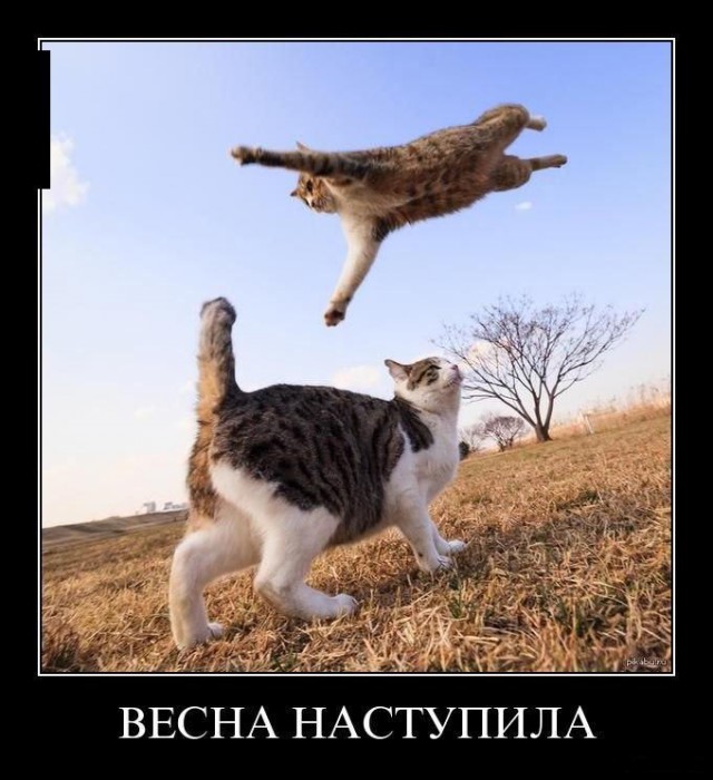 Картинки на субботу, кому отдохнуть охота.