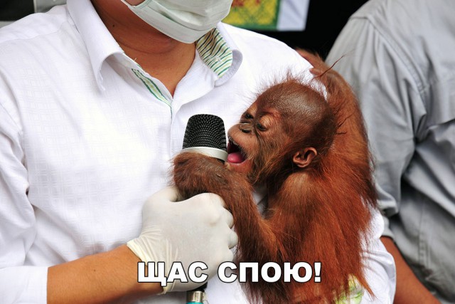 Нестандартный юмор