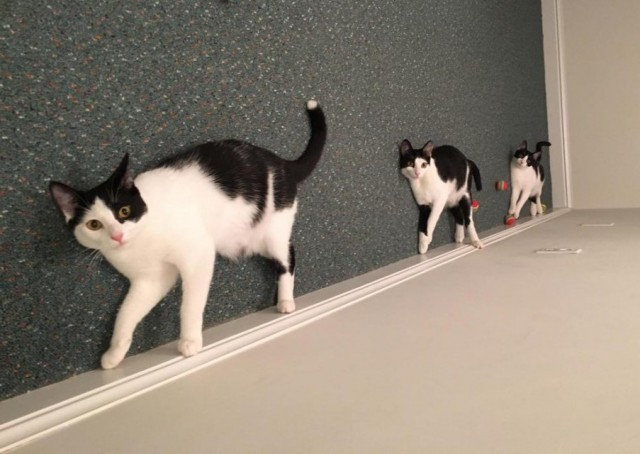27 фотографий, которые доказывают, что правильный ракурс решает все