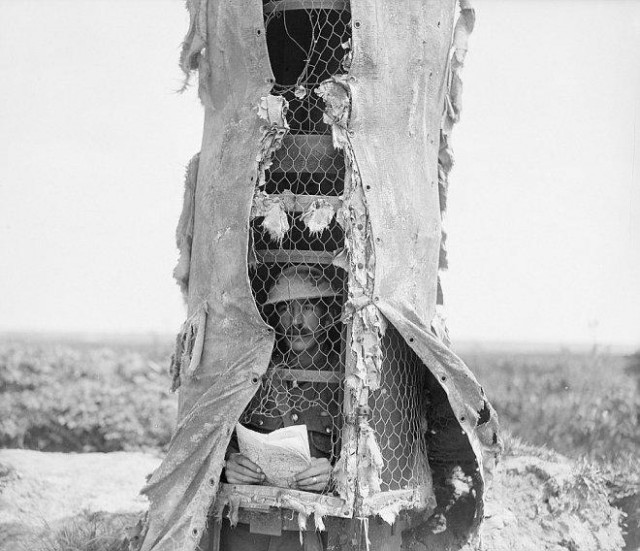 История в фотографиях