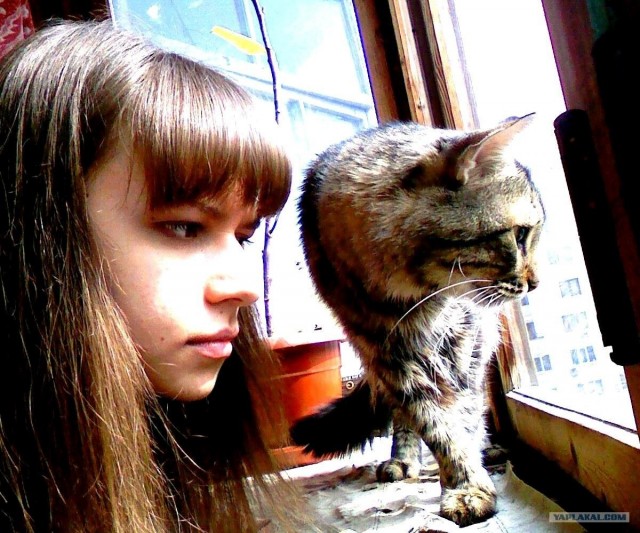 Котовторник на 1-е июня