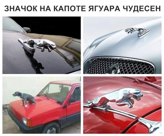 Прикольные картинки абавсём