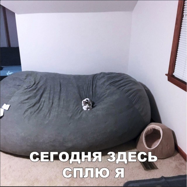 Нестандартный юмор