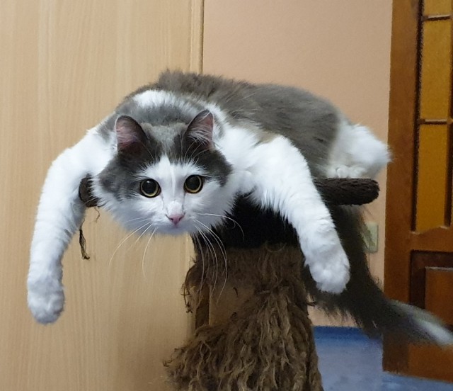 Подборка интересных и веселых картинок 01.04.19