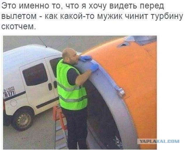 Делаем уроки, бутерброды, охотничью собаку и присоединяем Австрию к России