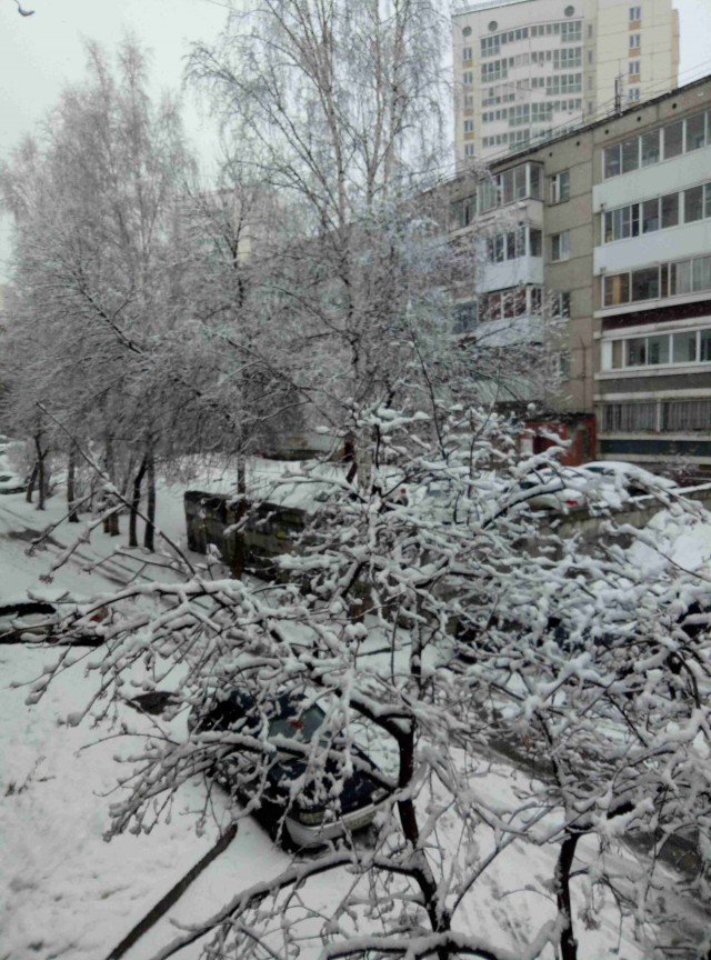 Опять зима в Москве
