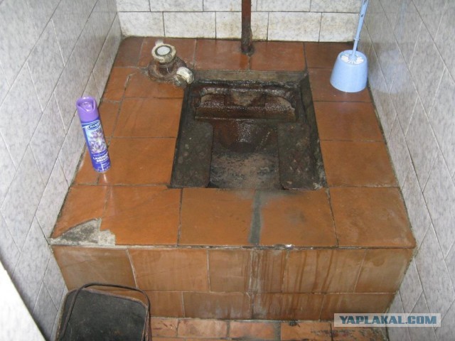 Туалеты мира