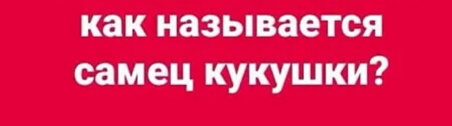 Бредзона 01.07.20