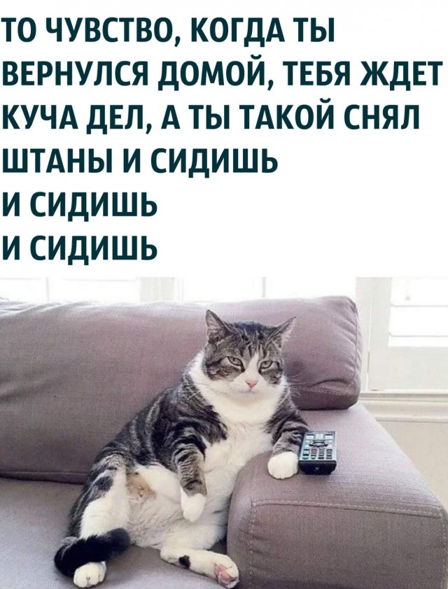 Бредзона 23.08.20