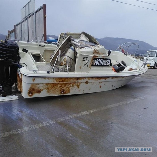 Акулка хочет камбалы!