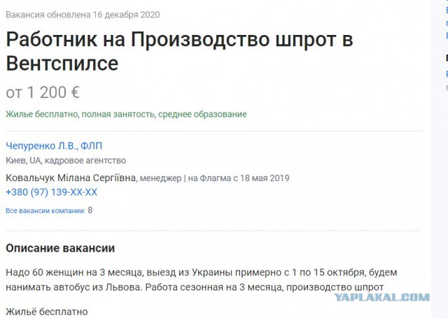 Страны Прибалтики пригрозили России санкциями ЕС за задержание Навального