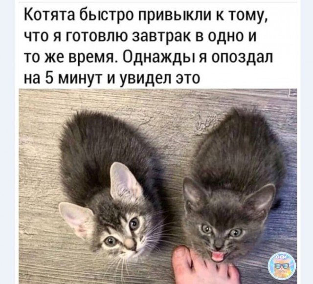 Картинки и мемы для настроения 015