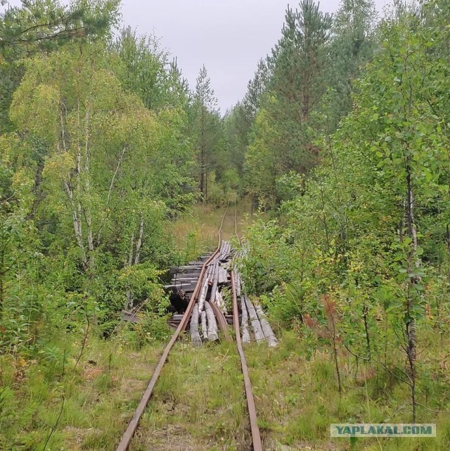 Мотодрезины дороги жизни.