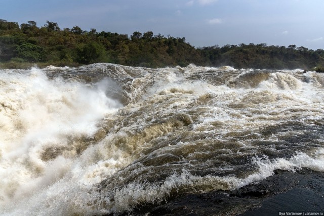 Уганда: самая настоящая Африка с гориллами и носорогами!
