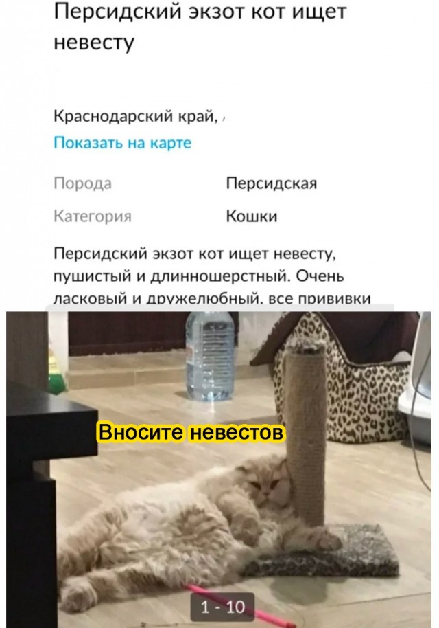 Картинки и мемы для настроения