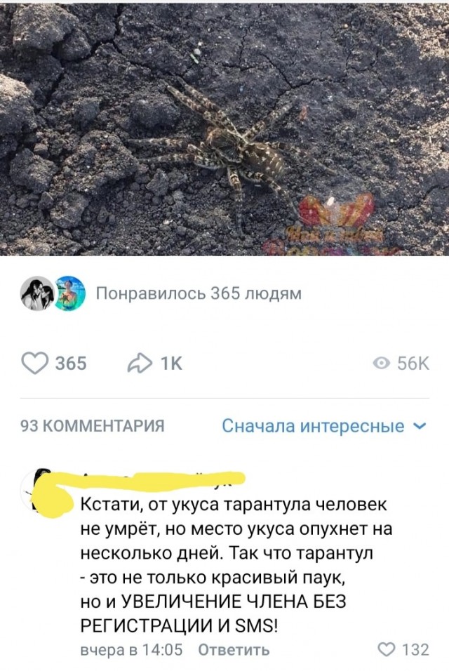 Картинки и мемы для настроения