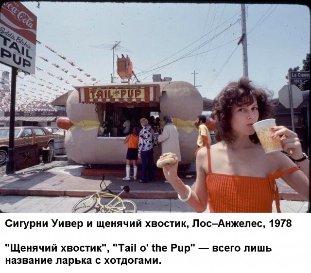 Картинки с надписями и всякие жизненные фразы 5.06.21