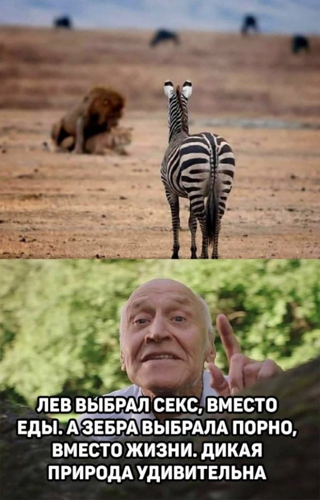 Картинки и мемы для настроения 15.06.2021