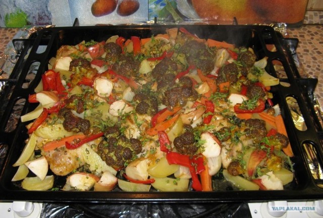 Ноги, хвосты… главное – крылья!, Кура-International–2, куриные крылья