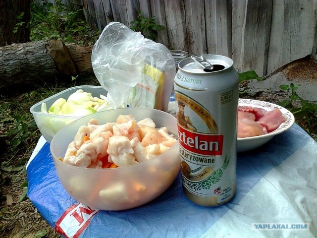 Пловские старания, ... эпическое полотно о Плове...