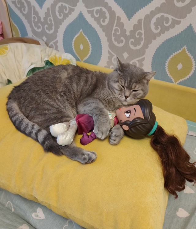 Кот Василий