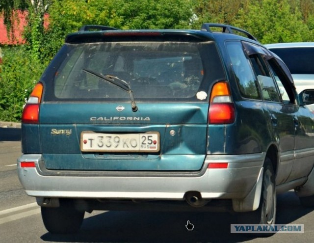 Такое по Дискавери точно не покажут