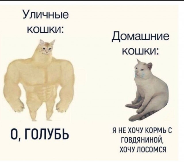 Бредзона 22.08.21