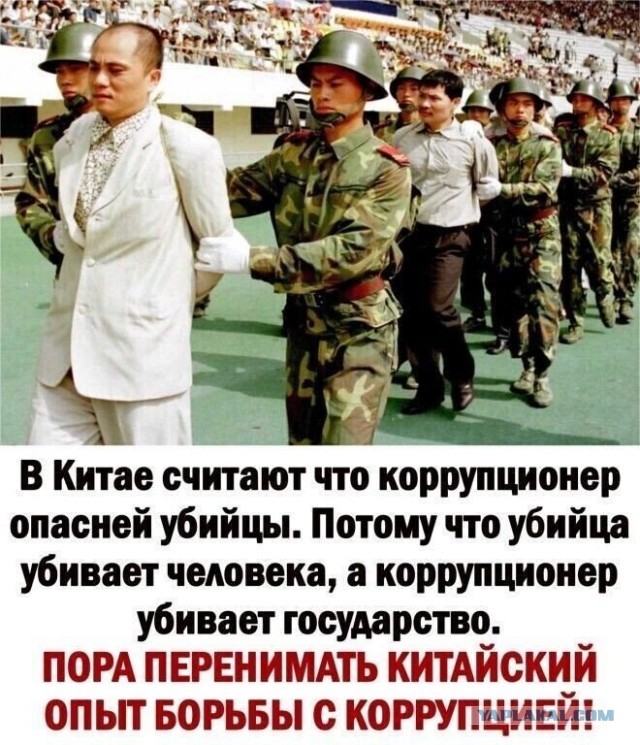 Талиб, исламист, шахид, моджахед - в чем разница?