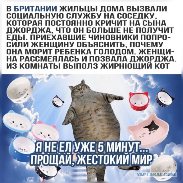 Утепляйтесь!