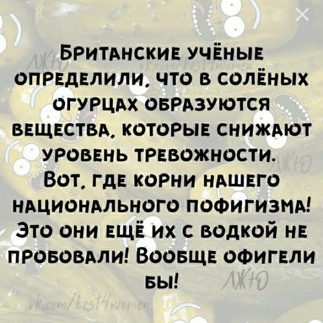 Алкопост 1.11.21