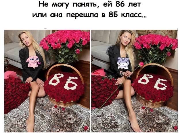 Весёлый полтишок 05.11