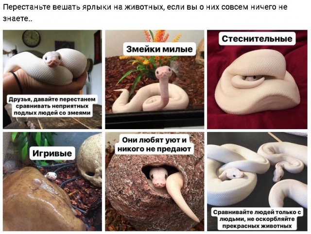 Баянисто-небаянистый юмор 6.12.21