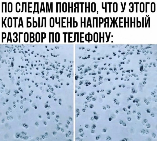 Чуток картинок 17.12.21