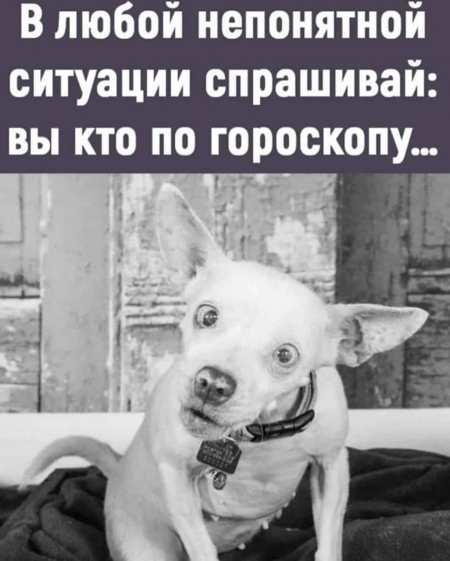 Баянисто-небаянистый юмор 23.12.21