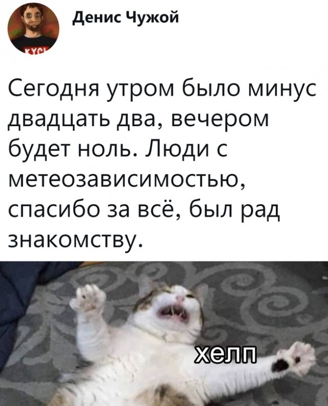 Весёлый полтишок 14.01