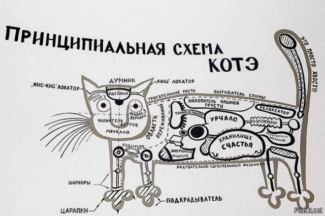 Картинки и буквы 15.07.22