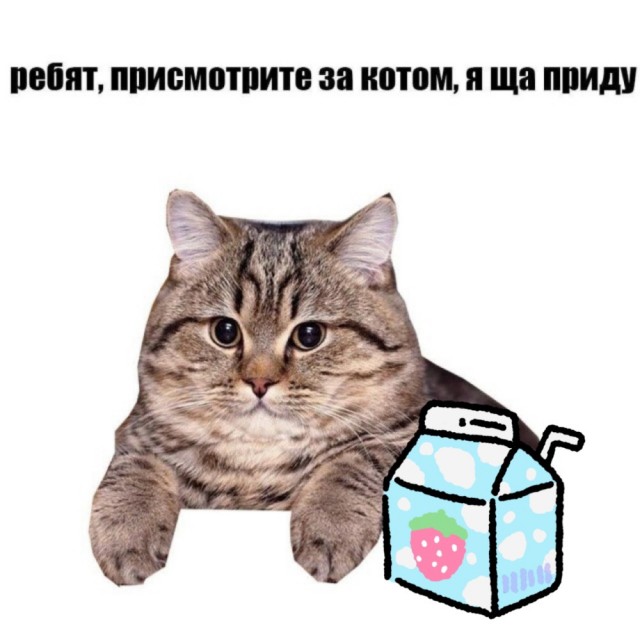 Ребята...