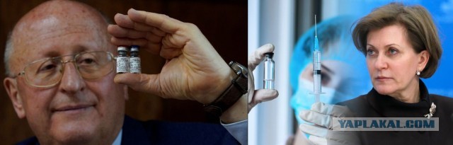 Пандемия. Коронавирус и съехавшие крыши. Россия и мир. Часть 35