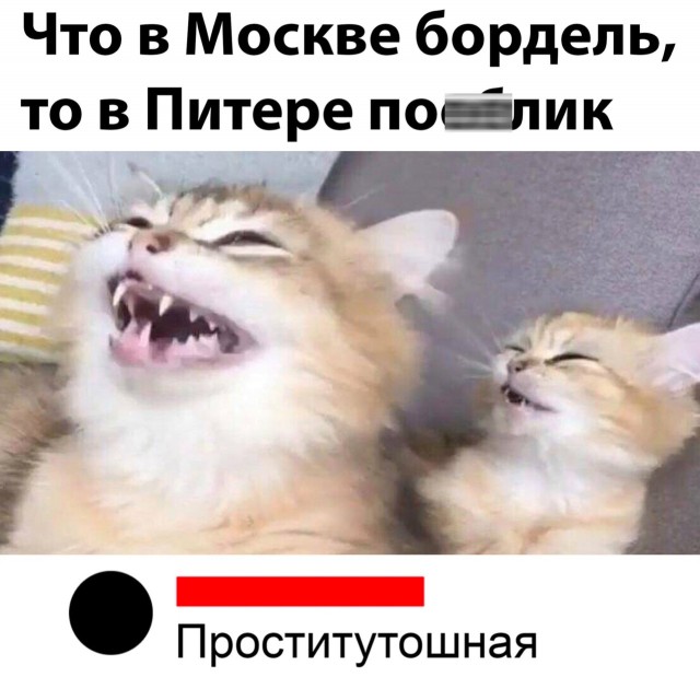 Так себе картинки 16.06.22