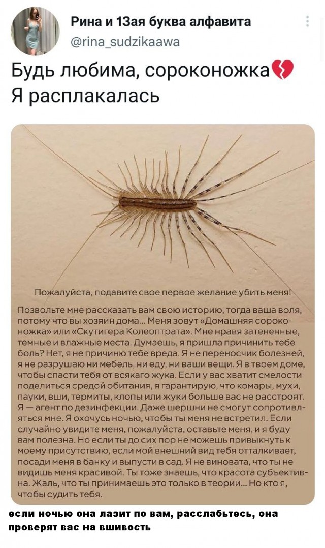 Калейдоскоп картинок