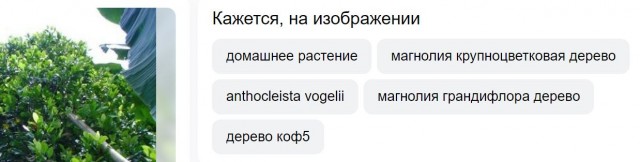 Пандемия съехавших крыш - разновидности болезни. Россия и мир. Часть 38