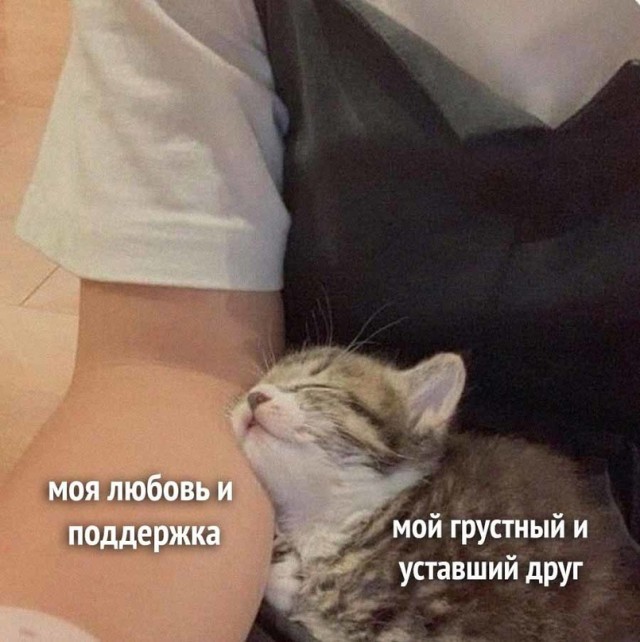 Картинки и мемы для настроения - 17