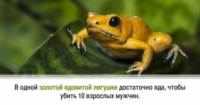30 суровых фактов, которые пугают больше, чем фильмы ужасов