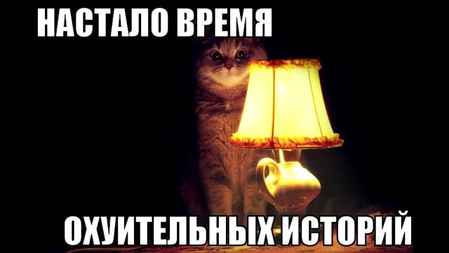 В Кремле прокомментировали информацию об амнистии бойцов ЧВК «Вагнер»