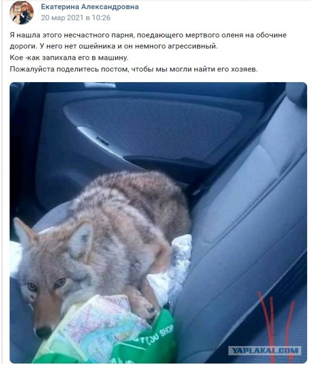 "Главное не ложиться на краю"