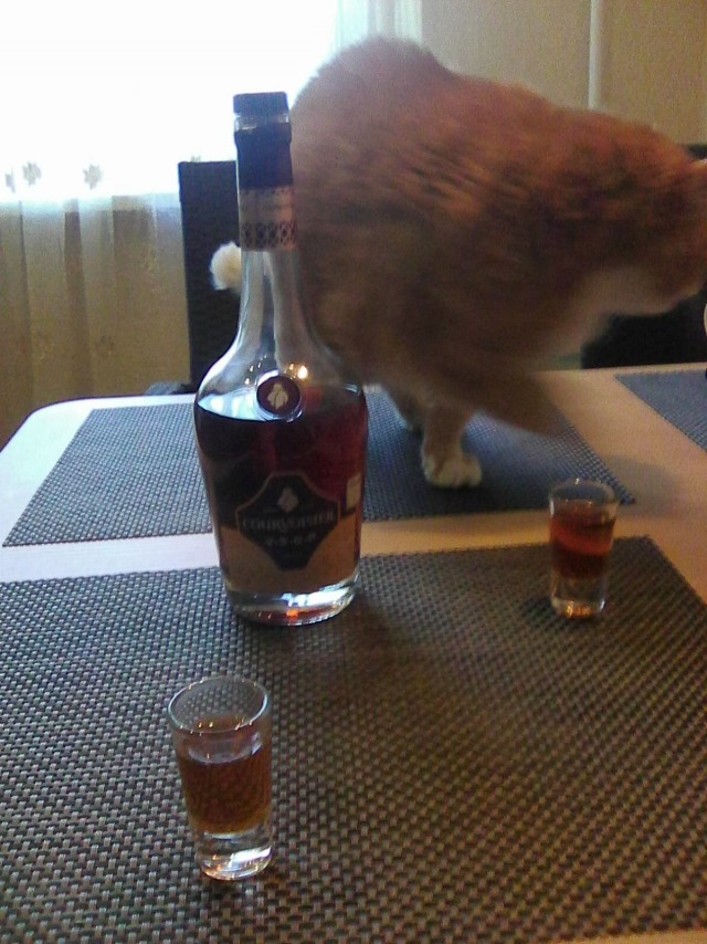 Одинокая женщина желает познакомиться. Часть 2. Свидания.