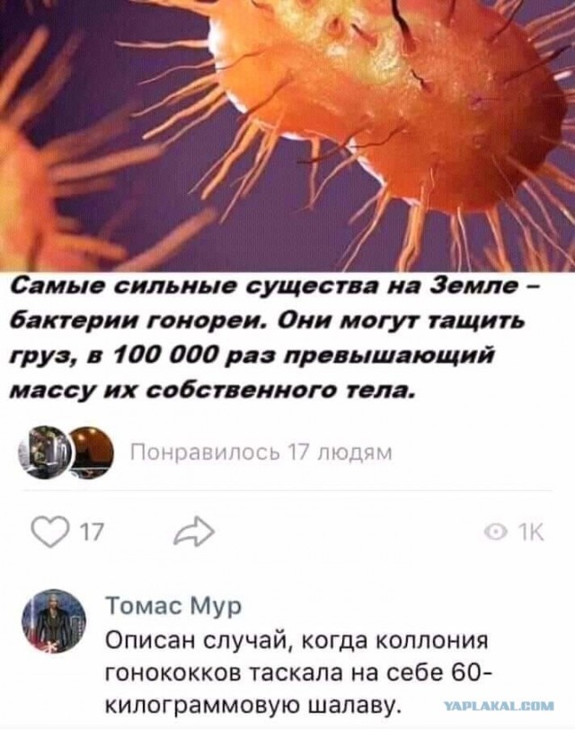 25 картинок для настроения