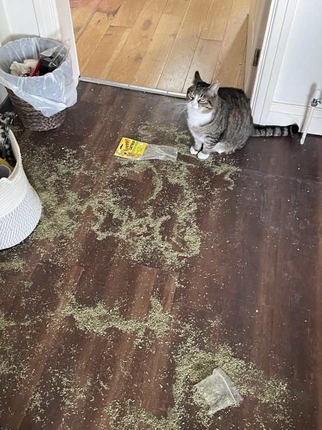 Подборка интересных и прикольных фото из Сети 01.04.23