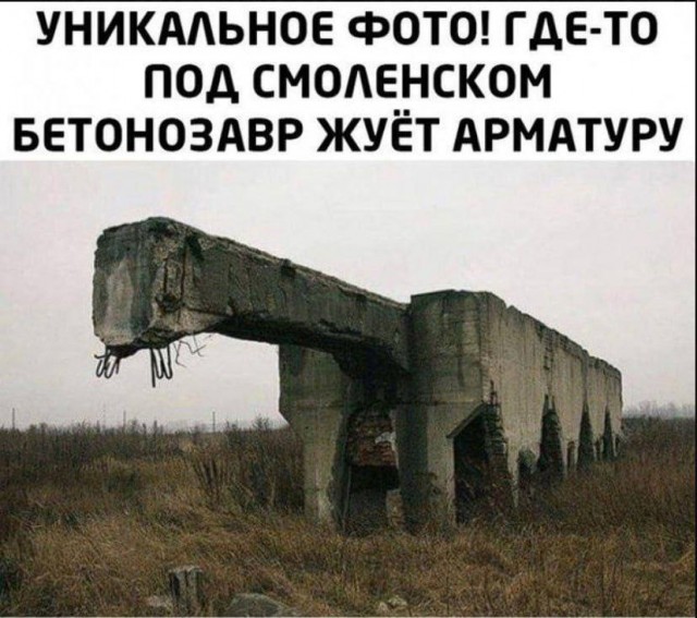 Прикольные и просто красивые картинки 26.05.2023